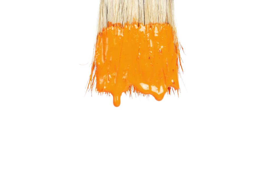Should I use water-based paint or oil-based paint?