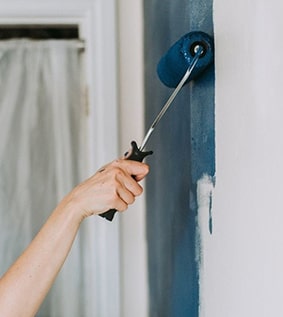 Anti-Mold Paint 