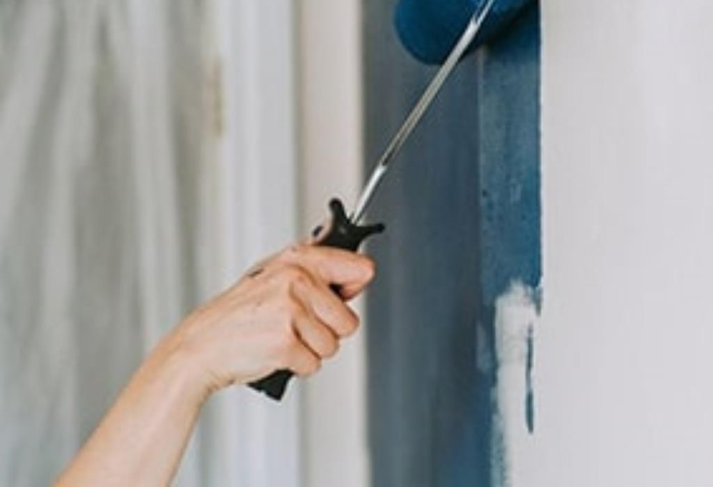 Anti-Mold Paint 