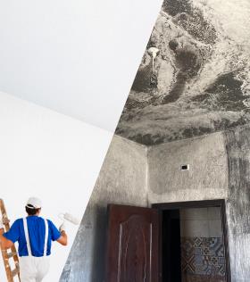أملشن فاين من دهانات القدس: تغطية مثالية لجدران منزلك