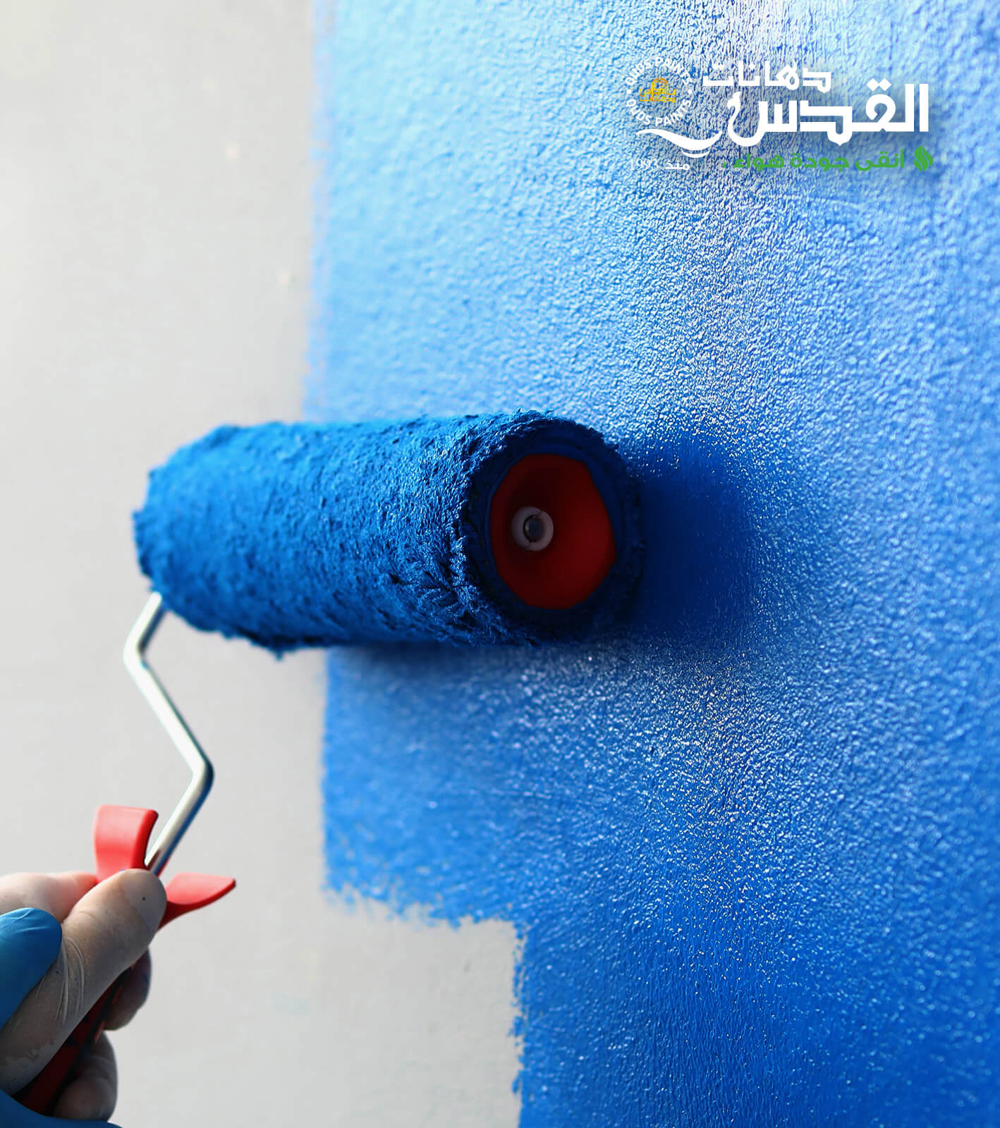 Choosing Wall Paint and Preparing Walls for a Flawless Finish.