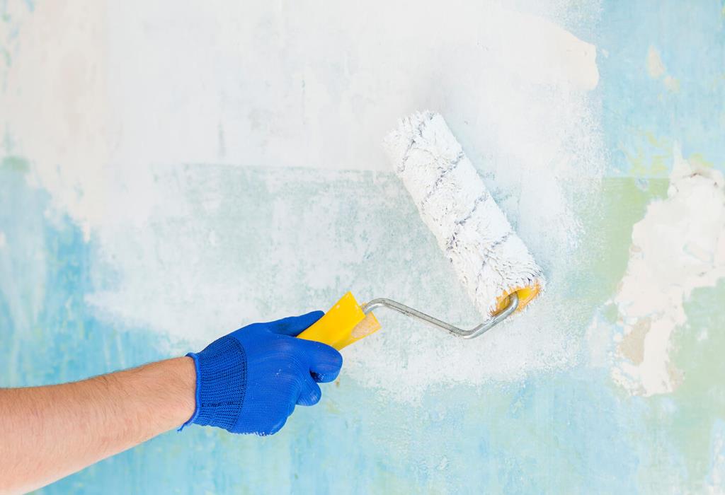 Home Paint Renewal Step by Step | Repairing Cracks and Peeling