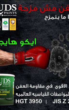 كيوبي ايكو-هايجو