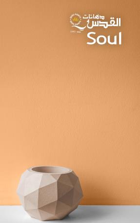 soul 
