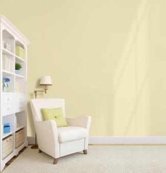 Pineapple Background