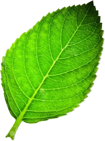 يوفر لك أنقى جودة هواء داخل منزلك Layer2-1